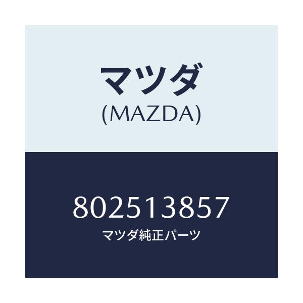 マツダ(MAZDA) オリフイス/車種共通/エアクリーナー/マツダ純正部品/802513857(8025-13-857)