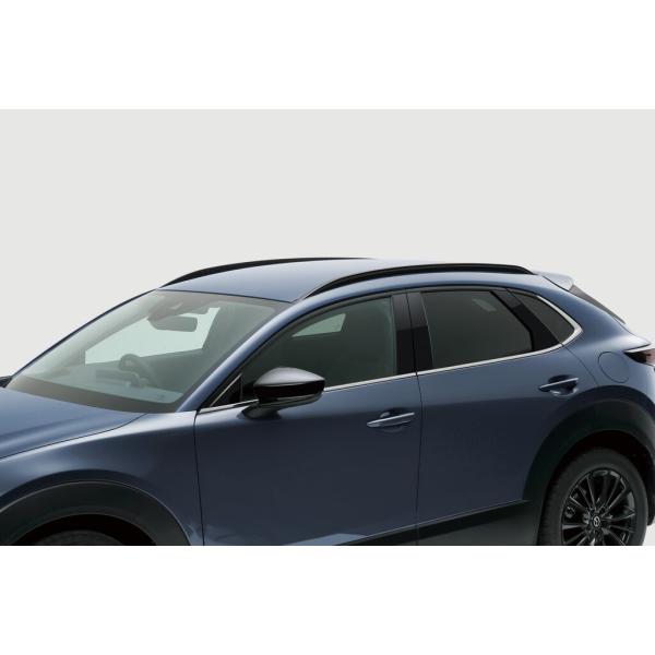 マツダ（MAZDA）ルーフレール/マツダ純正オプション/デミオ MAZDA2/D41VV3830(D41V-V3-830)