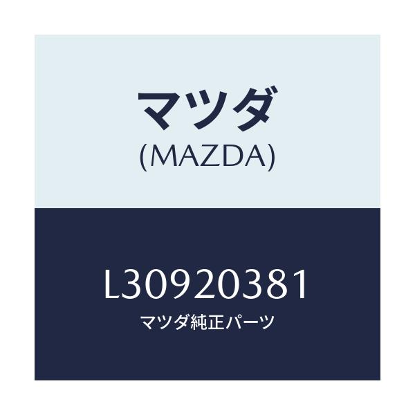 マツダ(MAZDA) チユーブ バキユーム/MPV/コンバーター関連/マツダ純正部品/L30920381(L309-20-381)