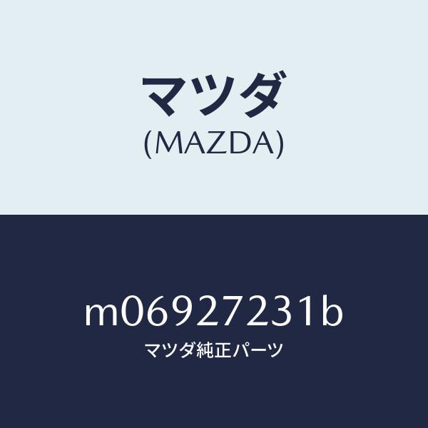 マツダ（MAZDA）ケース デイフアレンシヤル ギヤー/マツダ純正部品/車種共通/M06927231B(M069-27-231B)