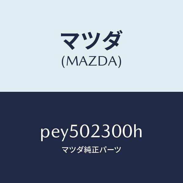 マツダ（MAZDA）エンジン パーシヤル-コンベンシヨ/マツダ純正部品/車種共通/エンジン系/PEY502300H(PEY5-02-300H)