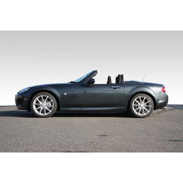 オートエグゼ(AUTOEXE) ローダウンスプリング NCロードスター 車高調 NR-Aを除く NCEC MNC7000